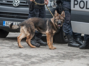 Po ztracené houbařce pátral i vrtulník. Po několika hodinách byla nalezena