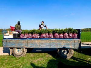 Na všech stromech mi záleží a ani covid mě nezastaví, říká zakladatel iniciativy Obnovme jihočeské lesy Libor Moravec