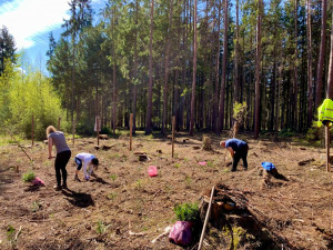 Na všech stromech mi záleží a ani covid mě nezastaví, říká zakladatel iniciativy Obnovme jihočeské lesy Libor Moravec