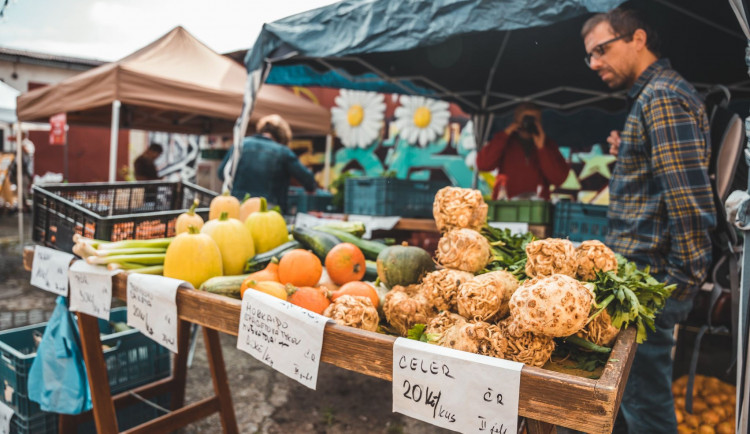KULTURNÍ TIPY: Minimalismus v cestování, La La Land a farmářské trhy
