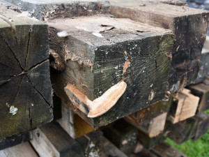 Chorvatský dub a teflonové šrouby. Začala oprava Stádleckého mostu