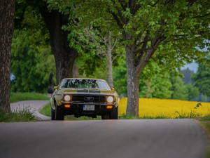 Muzeu veteránů v Nové Bystřici nabídne Ford Mustang Sportsroof z roku 1971 nebo první generace Chevroletu