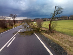 Meteorologové vydali výstrahu před silným větrem. Foukat má od soboty do nedělního rána