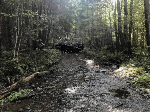 Na Šumavě už několik dní pátrají po ztraceném seniorovi.