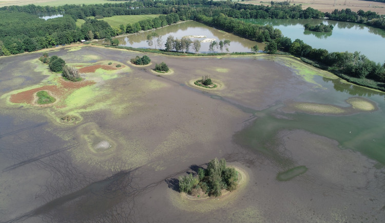 Rostliny mimo les u Vrbenských rybníků se mohou kácet, rozhodl krajský úřad