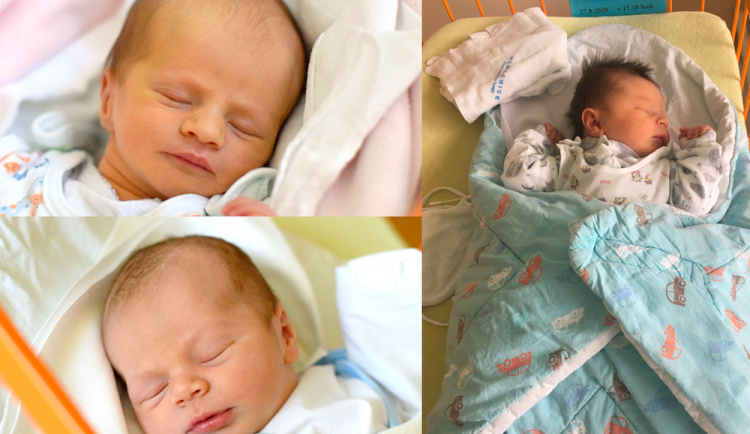 SOUTĚŽ: Hlasujte pro drbňátko září