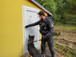 ! Nepojmenováno - 14:11:07 12.10.2020