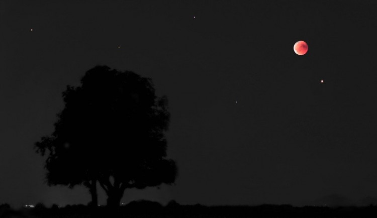 Několik týdnů bude celou noc na obloze vidět Mars. Na konci měsíce se přidají další planety