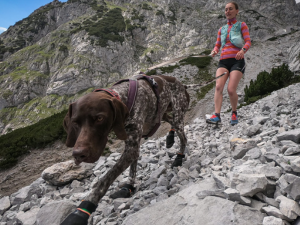 Život ve zdravotnictví vyměnila za běhání se psy