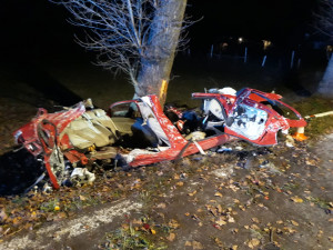 U Nových Hradů narazilo čelně do stromu auto. Nehodu nepřežili tři mladíci