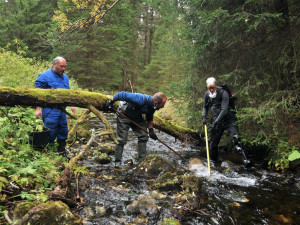Šumava slaví. Po padesáti letech se do tamního jezera vrátili pstruzi