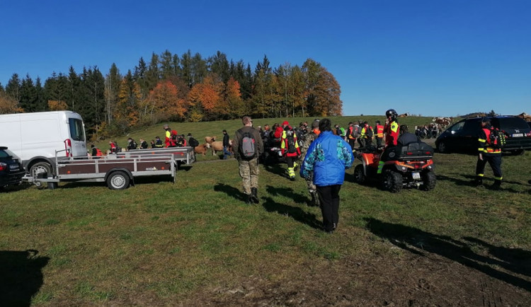 ! Nepojmenováno - 8:17:17 14.11.2020