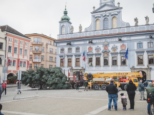 Na náměstí stojí vánoční strom. Slavnostní rozsvícení proběhne letos online