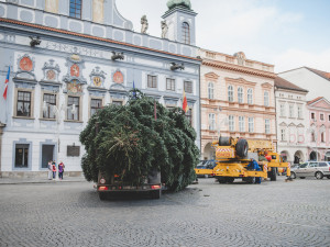 Na náměstí stojí vánoční strom. Slavnostní rozsvícení proběhne letos online