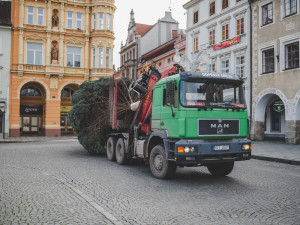 Na náměstí stojí vánoční strom. Slavnostní rozsvícení proběhne letos online