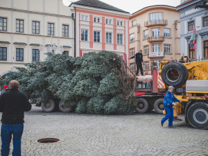 Na náměstí stojí vánoční strom. Slavnostní rozsvícení proběhne letos online