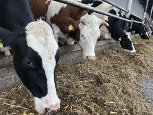 Vyšší odborná škola a Střední zemědělská škola v Táboře zve na virtuální prohlídku