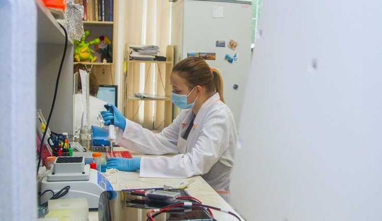 Jihočeští vědci přišli s novou metodu výzkumu živé buňky