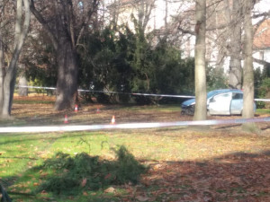 Rozruch v centru Budějc. Řidič zkolaboval za volantem, automobil zastavil až v parku