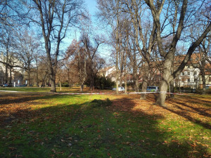 Rozruch v centru Budějc. Řidič zkolaboval za volantem, automobil zastavil až v parku