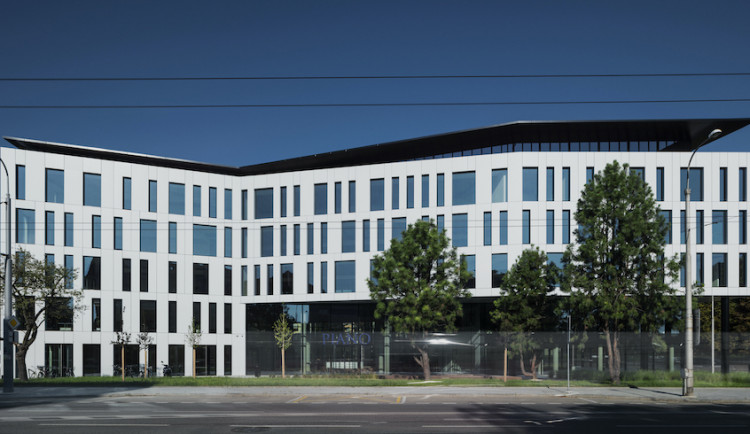 BoysPlayNice Photography