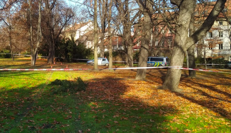 Rozruch v centru Budějc. Řidič zkolaboval za volantem, automobil zastavil až v parku.