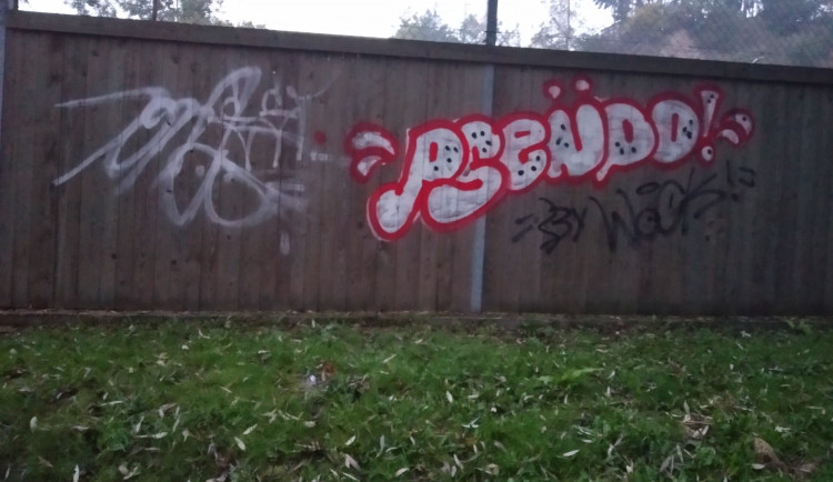 Zeď útulku posprejoval neznámý vandal. Dobrovolník malbu překreslil