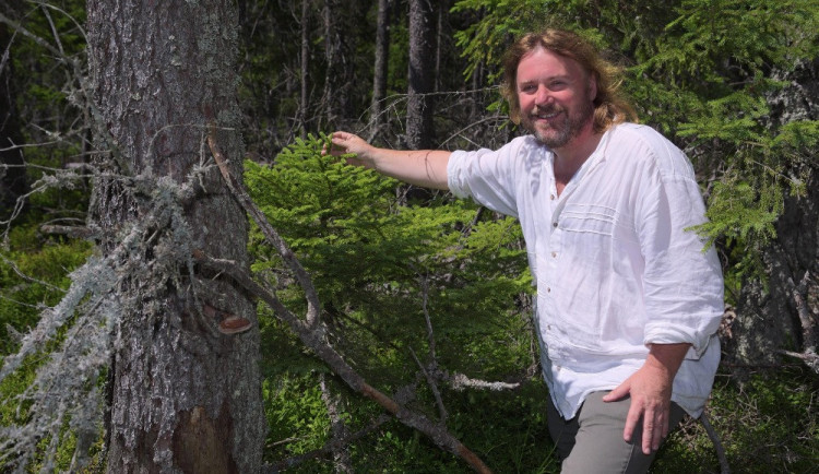 Příroda nejde naplánovat, říká ředitel Národního parku Šumava.