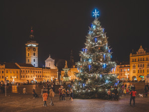 Vánoční strom už rozsvítily i Budějce. Adventní program bude online