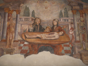 Muzeum fotografie a moderních obrazových médií a Dům gobelínů, kulturních tradic a řemesel v Jindřichově Hradci znovu otevřely své brány veřejnosti