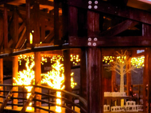 V Nasvícené zoo se objeví velký ježek