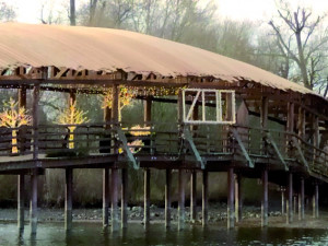 V Nasvícené zoo se objeví velký ježek