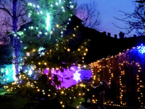 V Nasvícené zoo se objeví velký ježek