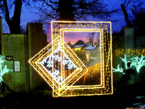 V Nasvícené zoo se objeví velký ježek