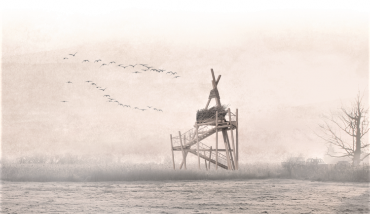 Kraj chce v oblasti Českobudějovických rybníků postavit pro veřejnost pozorovatelnu ptactva. Devítimetrový trojboký jehlan vyjde na 2,5 milionu