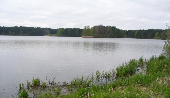 Třeboňští zastupitelé odmítli prodej dvou rybníků v majetku města.