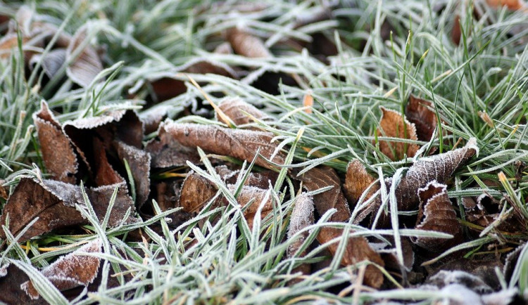 V polovině ledna se má znovu oteplit, pršet bude i na horách