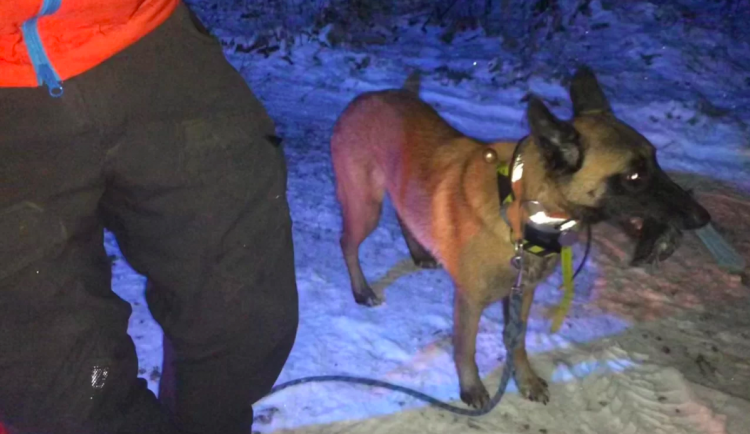 Podchlazenou ženu v bezvědomí vypátral pes horské služby