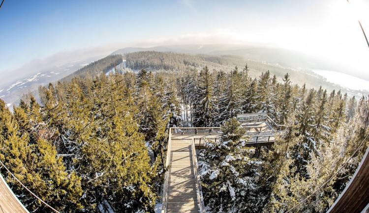 Lipno muselo kvůli udání uzavřít Stezku korunami stromů