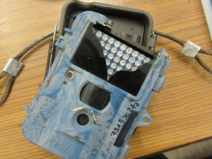 Turisté se na Šumavě baví ničením fotopastí, ze zábavy po nich hází kameny