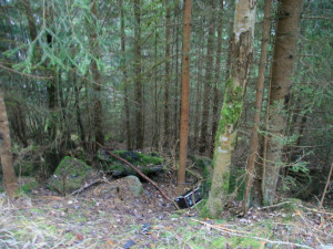 Turisté se na Šumavě baví ničením fotopastí, ze zábavy po nich hází kameny