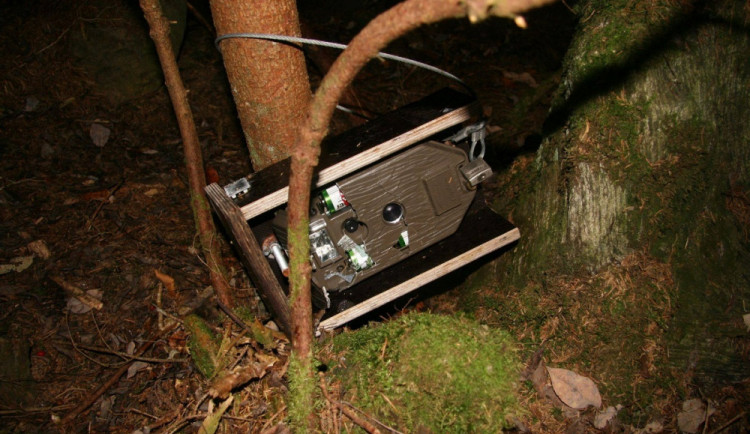 Turisté se na Šumavě baví ničením fotopastí, ze zábavy po nich hází kameny