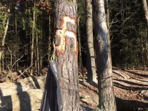 VIDEO: Policisté chytili u Nesměně kopáče vltavínů. S jejich dopadením pomohli psi