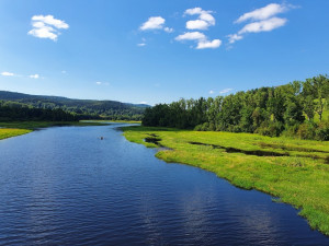 Jihočeské víkendy. Ta se jmenuje projekt party nadšenců