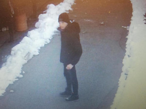 Dva mladíci se vloupali do zoo a chtěli vykrást pokladnu. Nic v ní ale nenašli