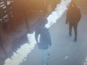 Dva mladíci se vloupali do zoo a chtěli vykrást pokladnu. Nic v ní ale nenašli