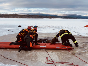 Pod kobylou se na Lipně prolomil led. Vytáhnout ji museli záchranáři pomocí lan