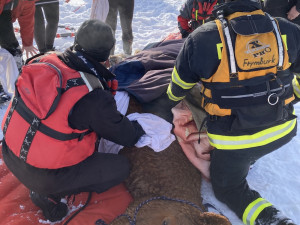 Pod kobylou se na Lipně prolomil led. Vytáhnout ji museli záchranáři pomocí lan