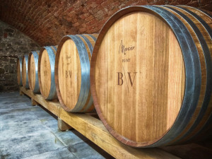 Jak se daří vinařům v krizi? Neexistuje nikdo, koho by se situace nedotkla, říká majitel úspěšného vinařství