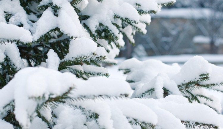 Konec ledna bude teplý. V únoru se má ale znovu ochladit a sněžit